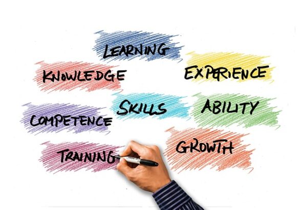 g7663279df634d0cae890791114d8745dd8e499ea42942a7190d9efbac36ab500836e3081289d2cc943ecc73accf364a466ec17a529d6750615cdeadf40420511_640